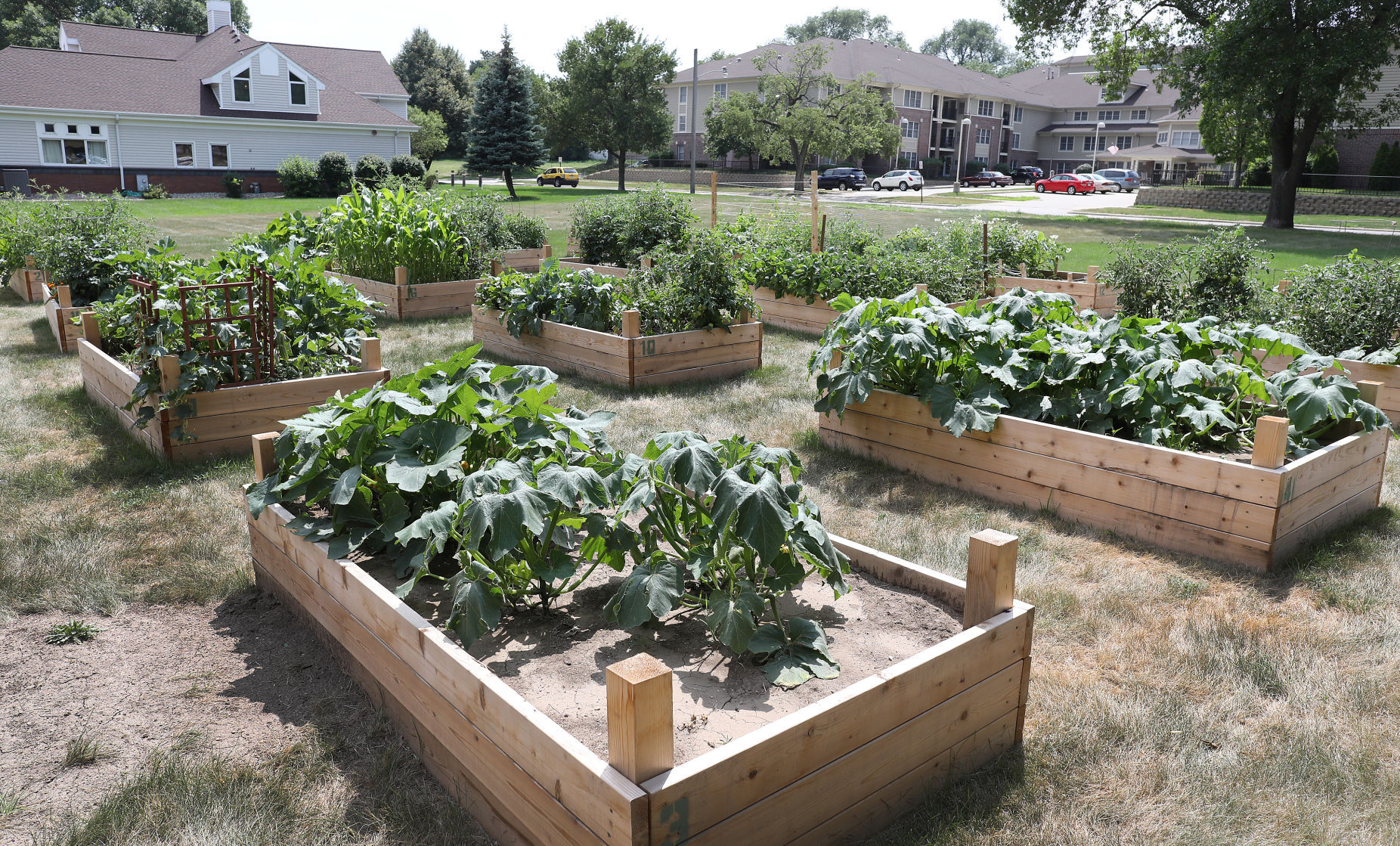 UnityPoint Health-St. Luke's Community Garden
